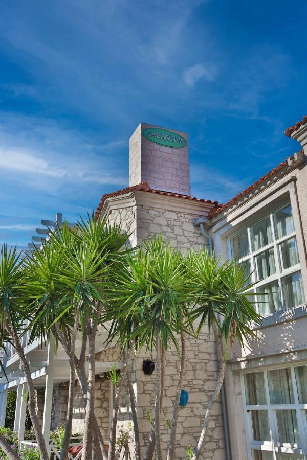 Casa Oliva Alacati - Adults Only 14 Plus Zewnętrze zdjęcie