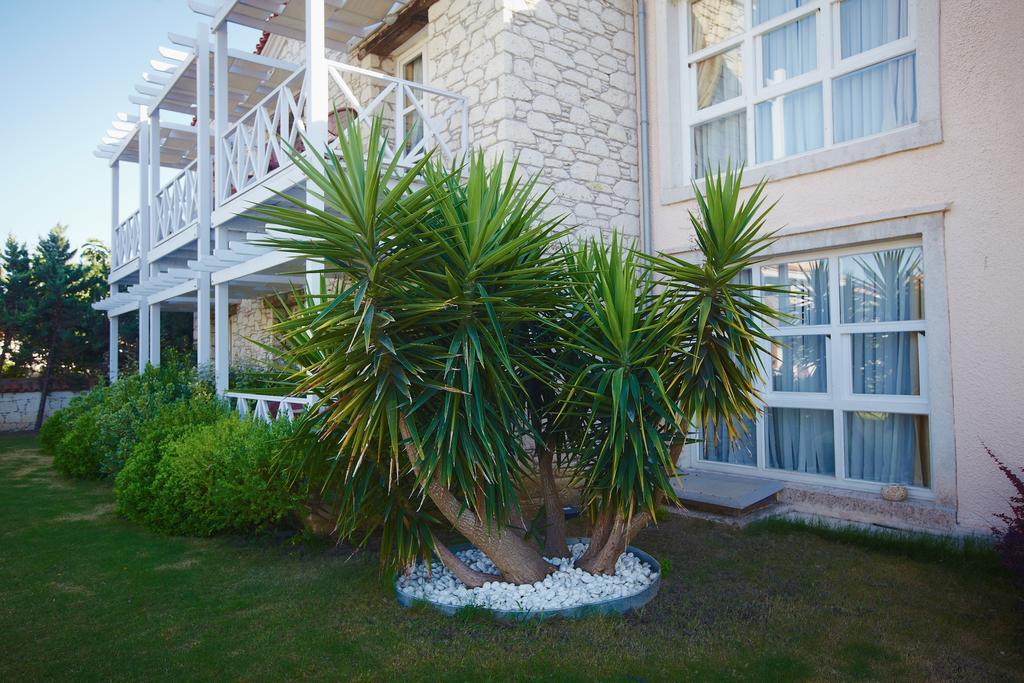 Casa Oliva Alacati - Adults Only 14 Plus Zewnętrze zdjęcie